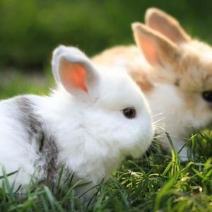 Meet your Posher, Kaylee